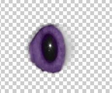 Creation of Eye Bloom: Step 5